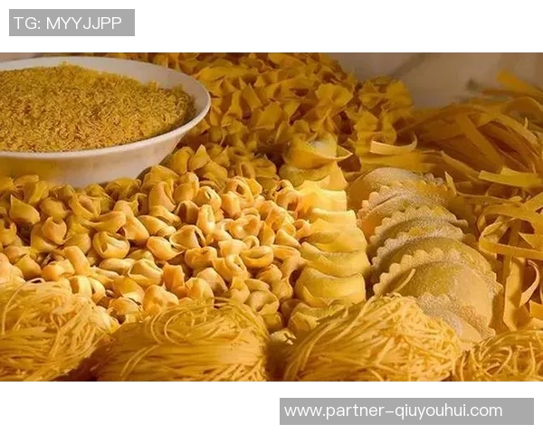 博洛尼亚肉酱的经典制作方法与美味搭配推荐，让你在家轻松享受意大利风味